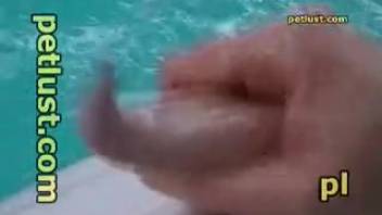 Guy masturbating a filthy dolphin dick in a steamy adult film