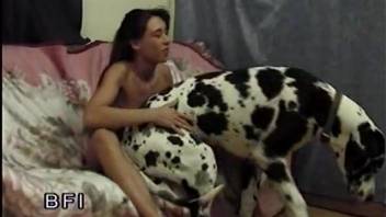 Redheaded chick blows her dog before taking its cock