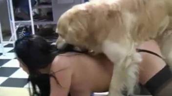 Good dog zoophilia for the thick ass amateur woman