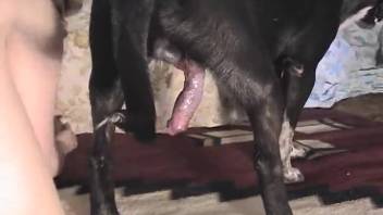 Steamy sex encounter with stunning doggy position performance