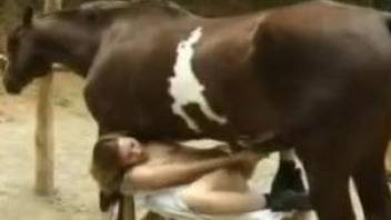 Collared horse cock slave getting destroyed on cam
