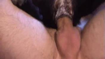 Excellent clips of domestic bestiality featuring a nude guy screwing the dog